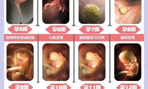怀孕三个月忌口哪些食物-孕期头三个月不能吃的东西、怀孕三个月什么不可以吃 -三个月内的孕妇不能吃什么食物网